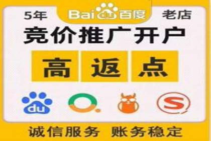 某电商平台sem竞价运营的突破与挑战